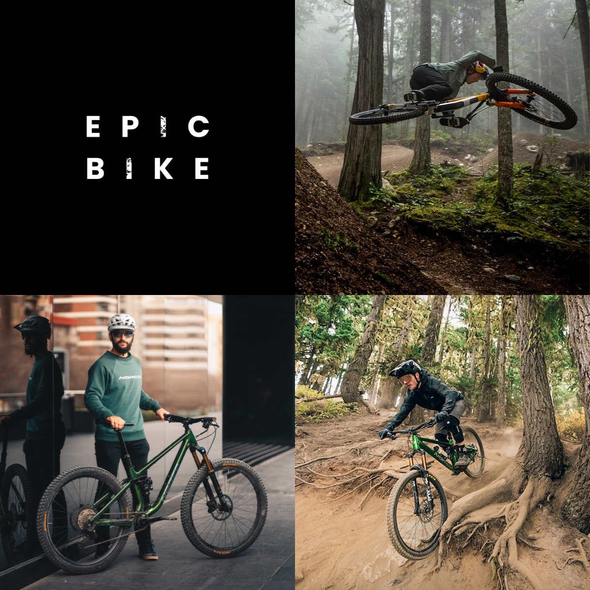 EPIC BIKE SHOP 1.1 1